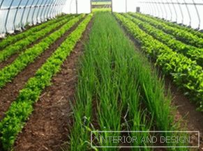 Ako pestovať zeleninu v skleníku